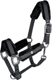 Produktbild von WALDHAUSEN Halfter Phoenix schwarz WB