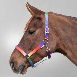 WALDHAUSEN Halfter Regenbogen – Bild 1 von 2