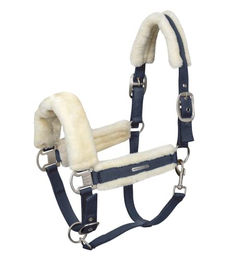 Produktbild von WALDHAUSEN Halfter Soft PON blau