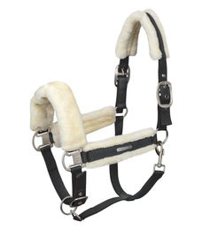 Produktbild von WALDHAUSEN Halfter Soft VB schwarz