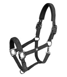 Waldhausen Halfter St. Gallen – Bild 1 von 3