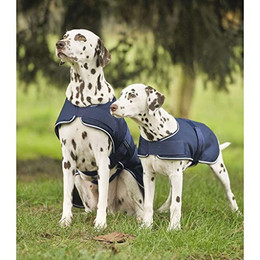 Produktbild von Waldhausen Hunde Regendecke