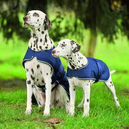 Produktbild von Waldhausen Hunde Regendecke - 55 cm