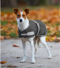 Produktbild von Waldhausen Hundedecke Comfort Line - 200 g