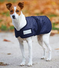 Produktbild von Waldhausen Hundedecke Silver Hearts - 100 g