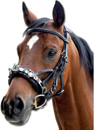 Produktbild von WALDHAUSEN Kappzaum Leder WB schwarz