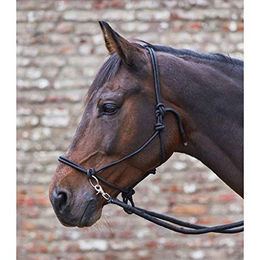Produktbild von Waldhausen Knotenhalfter mit Zügel