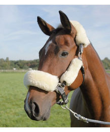 Waldhausen Lammfell Nasen- und Genickpolster – Bild 1 von 2