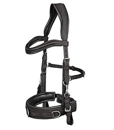 WALDHAUSEN Lederkappzaum Anatomic schwarz PON – Bild 1 von 2