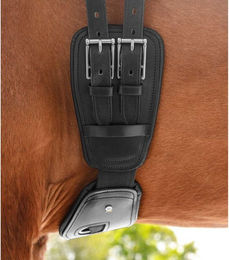 Produktbild von WALDHAUSEN Lederkurzgurt Elastik schwarz - 85 cm