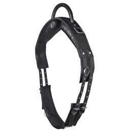 Waldhausen Longiergurt mit Handgriff WB schwarz – Bild 1 von 2