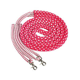 Waldhausen Longierhilfe – Bild 1 von 3