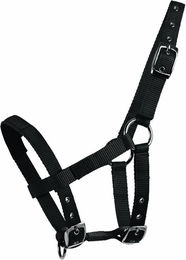 Produktbild von Waldhausen MiniShetty Halfter