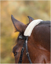 Produktbild von Waldhausen Nasen- oder Genickschoner