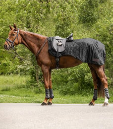 Waldhausen Nierendecke Exclusive – Bild 1 von 2