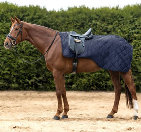 Produktbild von Waldhausen Nierendecke Exclusive - 50 g