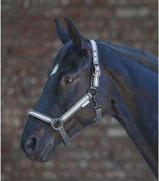 Produktbild von Waldhausen Reflex Halfter Stripe