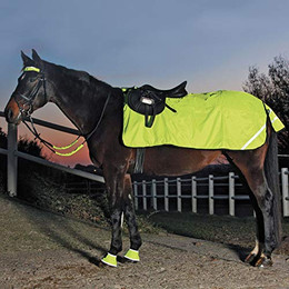 Produktbild von Waldhausen Reflex Nierendecke Fleece