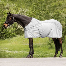 Produktbild von Waldhausen Regen-Fliegendecke Protect