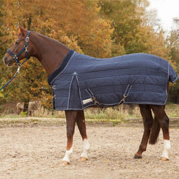 Produktbild von WALDHAUSEN Stalldecke Comfort Line - 200 g