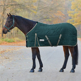 Produktbild von Waldhausen Stalldecke Economic - 300 g