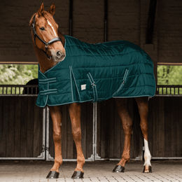 Produktbild von Waldhausen Stalldecke Economic 200g