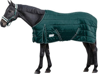 Produktbild von Waldhausen Stalldecke Economic 300g