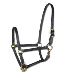 Produktbild von Waldhausen Star Fohlenhlafter Vorführhalfter, Leder