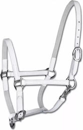 WALDHAUSEN Star Fohlenvorführhalfter Leder PON Weiß – Bild 1 von 2