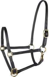 Produktbild von WALDHAUSEN Star Fohlenvorführhalfter Leder VB schwarz