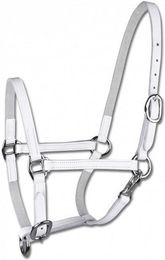 Produktbild von WALDHAUSEN Star Fohlenvorführhalfter Leder VB Weiß