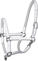 WALDHAUSEN Star Fohlenvorführhalfter Leder Weiß SH – Bild 1 von 2