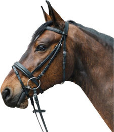 WALDHAUSEN Star Trensenzaum Diamond – Bild 1 von 5