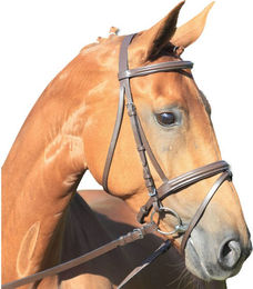 Produktbild von WALDHAUSEN Star Trensenzaum Lifestyle