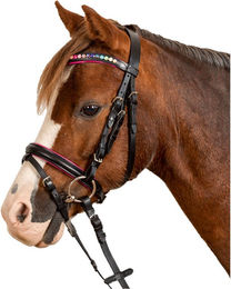 Waldhausen Star Trensenzaum Pinky – Bild 1 von 5