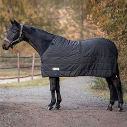 Waldhausen Thermo Unterdecke für Pferd 200 g - 200 g – Bild 1 von 5