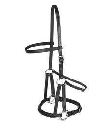 Waldhausen Trensenzaum LTJ Lindel TellingtonJohnes gebisslos – Bild 1 von 3