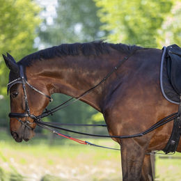 Waldhausen W-TRAINREIN Leder-Dreieckszügel – Bild 1 von 3