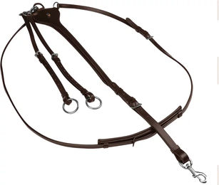 Produktbild von Waldhausen X-Line Martingal Professional