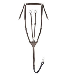 Waldhausen X-Line Vorderzeug Professional WB braun – Bild 1 von 4