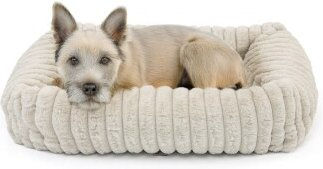 Wallace & Jones Hundebett "MARY" sand M – Bild 1 von 9