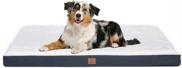 Produktbild von Warenhammer Orthopädisches Hundebett
