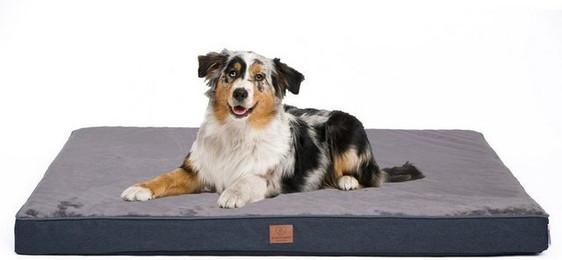 Produktbild von Warenhammer Orthopädisches Hundebett flauschig weich