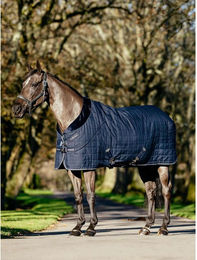 Produktbild von Warmblutdecke für Pferde mit Futter LeMieux Kudos Luxe 100g