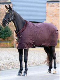 Produktbild von Warmblutdecke für Pferde mit Futter LeMieux Kudos Luxe 100g