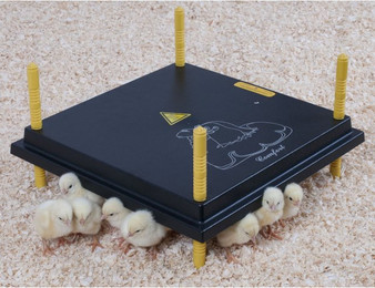 Produktbild von Wärmeplatte für Küken Chick'A