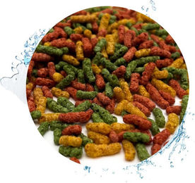 Warnick´s Tierfutterservice Premium Teichsticks 4mm - bunt für Koi´s & andere Zierfische, Alleinfuttermittel für: Koi, Goldfische, andere Teichfische, andere Gartenteichbewohner – Bild 1 von 5