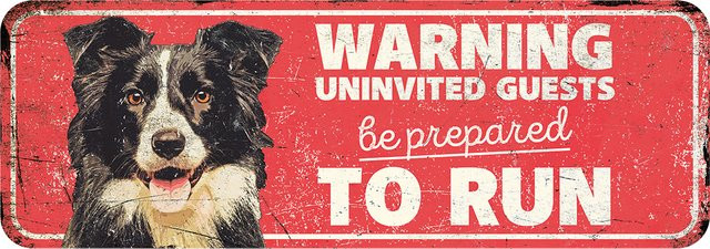 Produktbild von Warnschild collie nl D&D Home