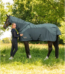 Produktbild von Wasserdichte Fliegendecke für Pferde Waldhausen