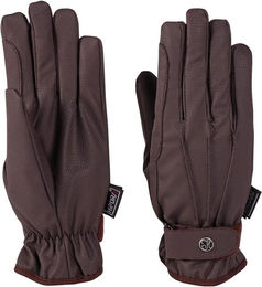 Produktbild von Wasserdichte Lederreit-Handschuhe Harry's Horse Alaska